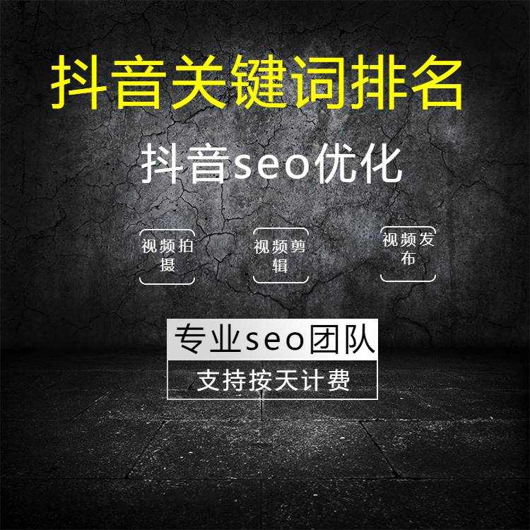 抖音競(jìng)價(jià)推廣代運(yùn)營(yíng)-短視頻付費(fèi)推廣-抖音競(jìng)價(jià)推廣運(yùn)營(yíng)